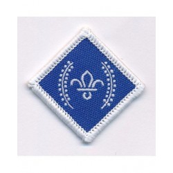 Chief Scout Diamond Award -...