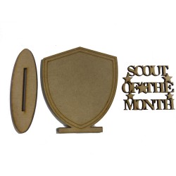 Scout of the Month Trophy