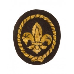Sea Scout Cap Gold Wire...