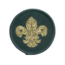 Air Scout Beret Cloth Badge...