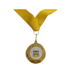 Brownie Well Done Medal