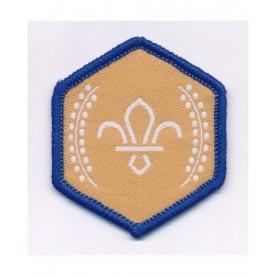 Beaver Chief Scout Bronze...