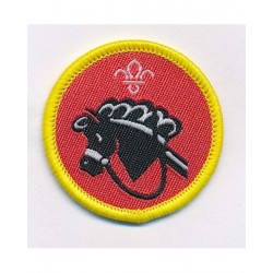 Cub Hobbies Activity Badge...