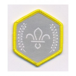Cub Chief Scout Silver...