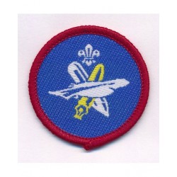Scout Writer Activity Badge...