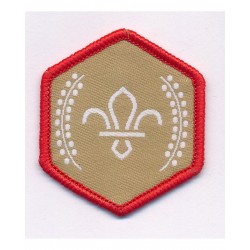 Chief Scout Gold Award -...