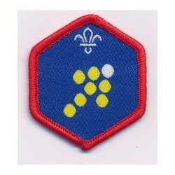 Scout Team Leader Challenge...