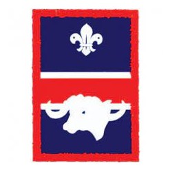 Patrol Badge Buffalo - Single