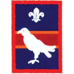 Patrol Badge Falcon - Pack 25