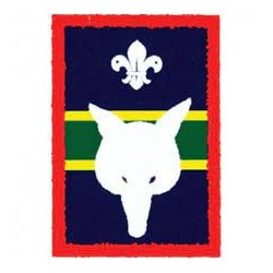 Patrol Badge Fox - Pack 25