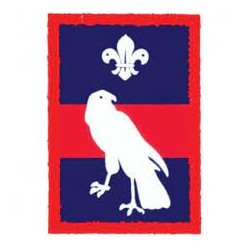 Patrol Badge Hawk - Single