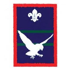 Patrol Badge Kestrel - Single