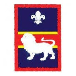 Patrol Badge Lion - Single