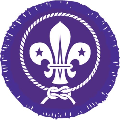 Scout Uniform Badges